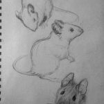 آموزش نقاشی به صورت حرفه ای