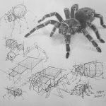 آموزش نقاشی به صورت حرفه ای