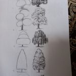 آموزش نقاشی به صورت حرفه ای